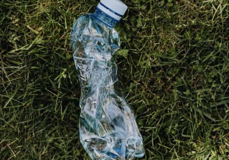 8CA66912-67E9-423C-AD36-186F71F3BDC2_1_201_a-1