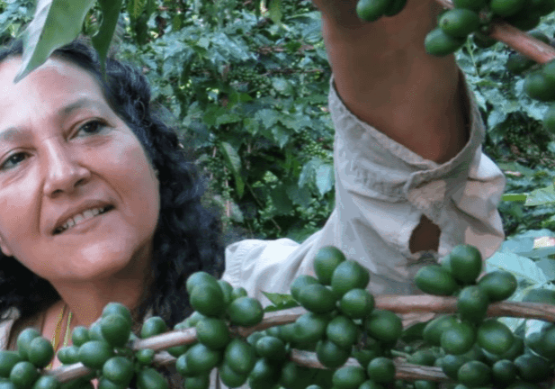 Ivette-Perfecto-nueva-integrante-de-la-Academia-Nacional-de-la-Ciencia-en-EE.UU_.