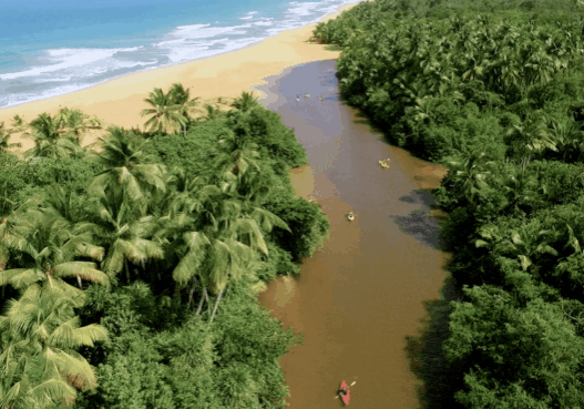 La-tierra-¿de-ellos-o-nuestra_