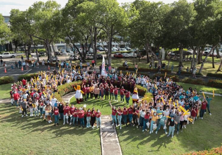 Crédito | @camarar0ja