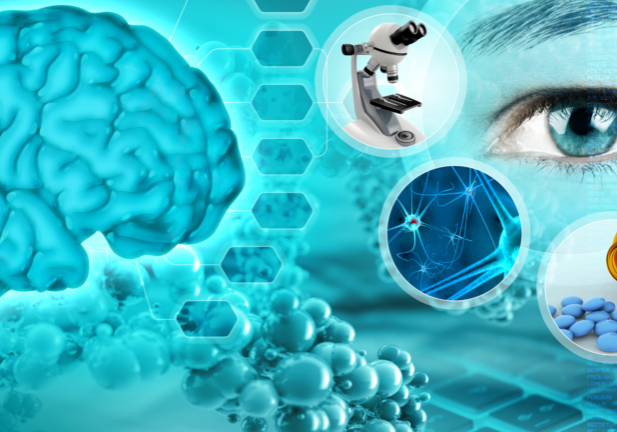 SNPP enfocado en el “mindfulness”, los trastornos neurodegenerativos y la percepción sensorial este 2022