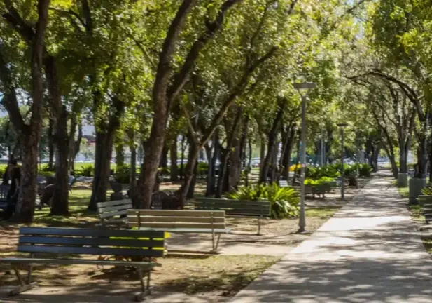 Sagrado Bosque Urbano