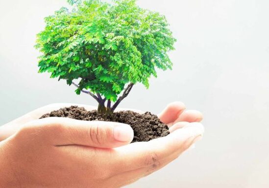 desarrollososteniblefinal